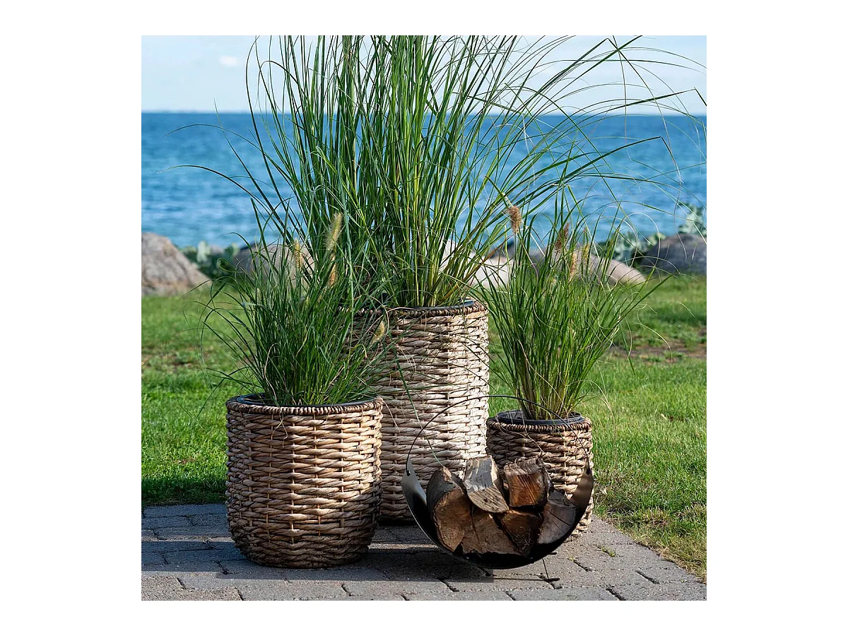 ALIZEE - Lot de 3 cache-pots en jacinthe d'eau naturelle doublés de pots en plastiques