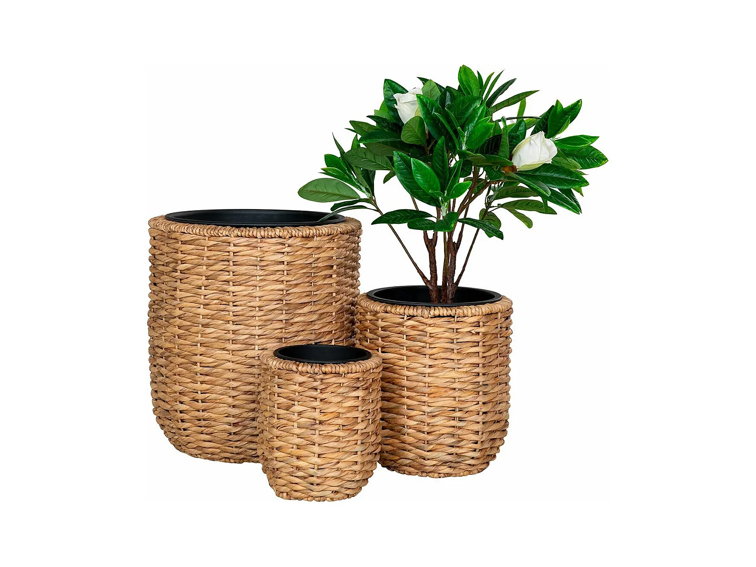 ALIZEE - Lot de 3 cache-pots en jacinthe d'eau naturelle doublés de pots en plastiques