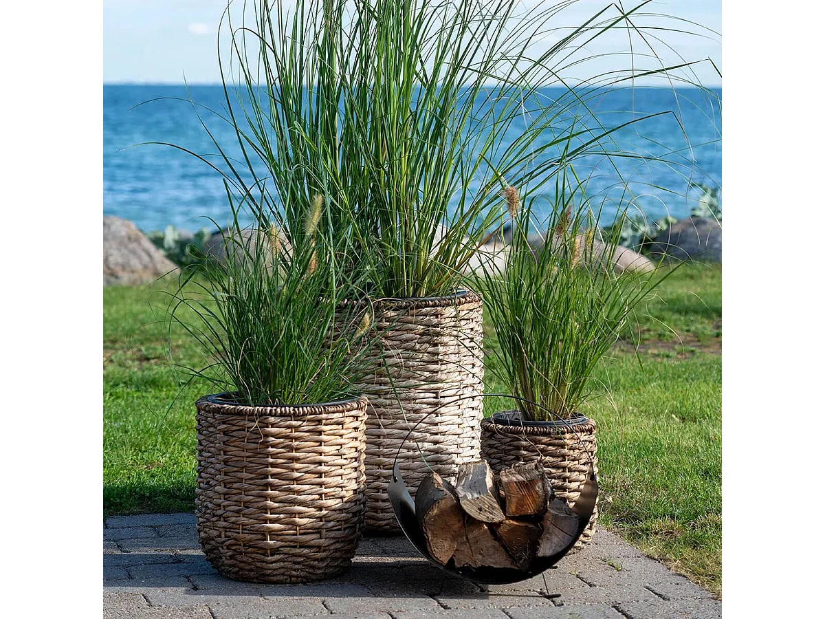 ALIZEE - Lot de 3 cache-pots en jacinthe d'eau naturelle doublés de pots en plastiques