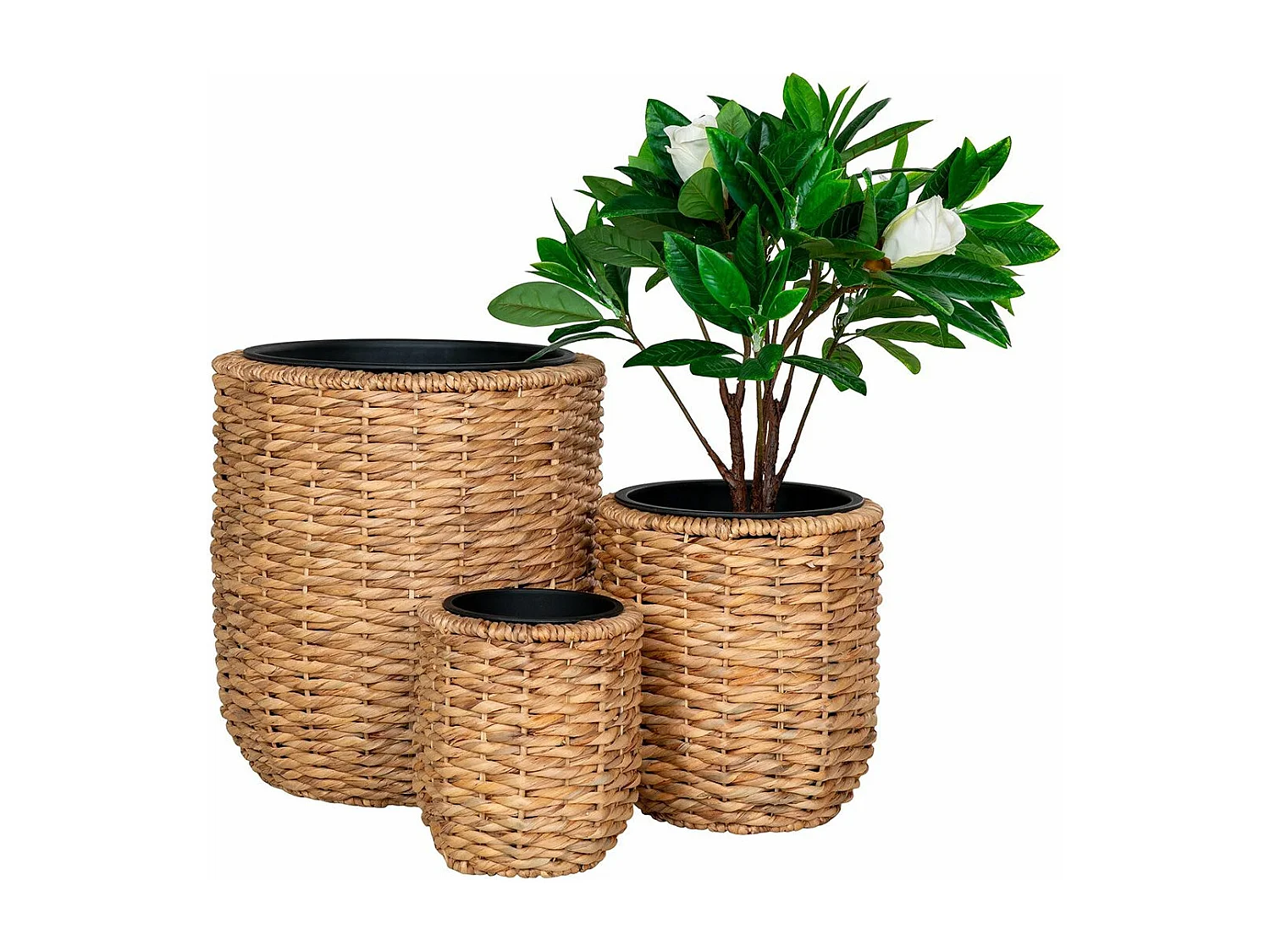 ALIZEE - Lot de 3 cache-pots en jacinthe d'eau naturelle doublés de pots en plastiques