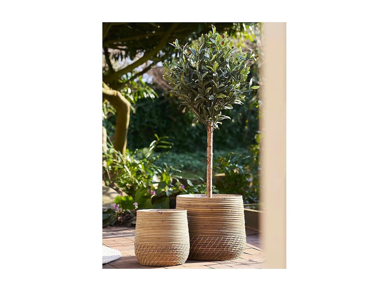 NALINI - Lot de 2 Cache-Pots Ø39cm et Ø29cm en Rotin Kubu Tressé