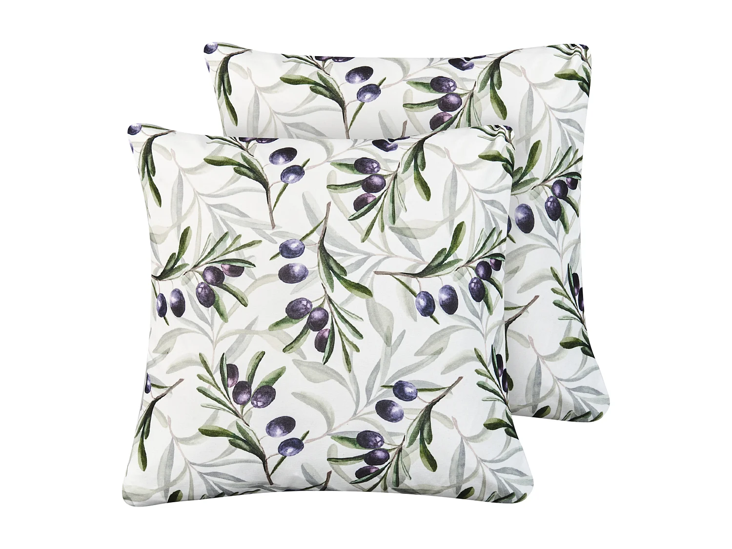 Lot de 2 coussins d'extérieur TRANQUI Motif de plante 45 x 45 cm Multicolore