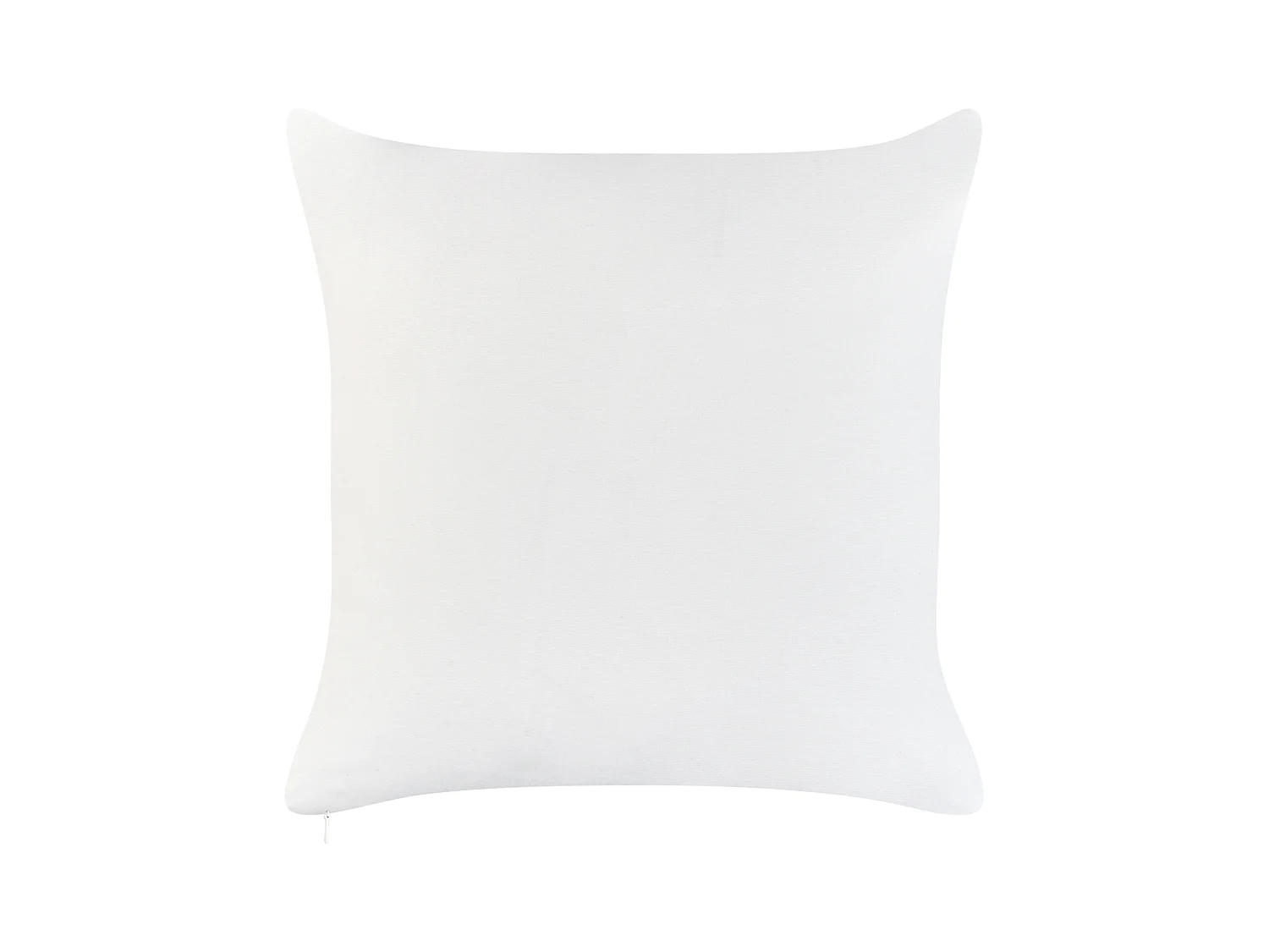 Lot de 2 coussins d'extérieur FLYLEAF Motif de plante 45 x 45 cm Vert