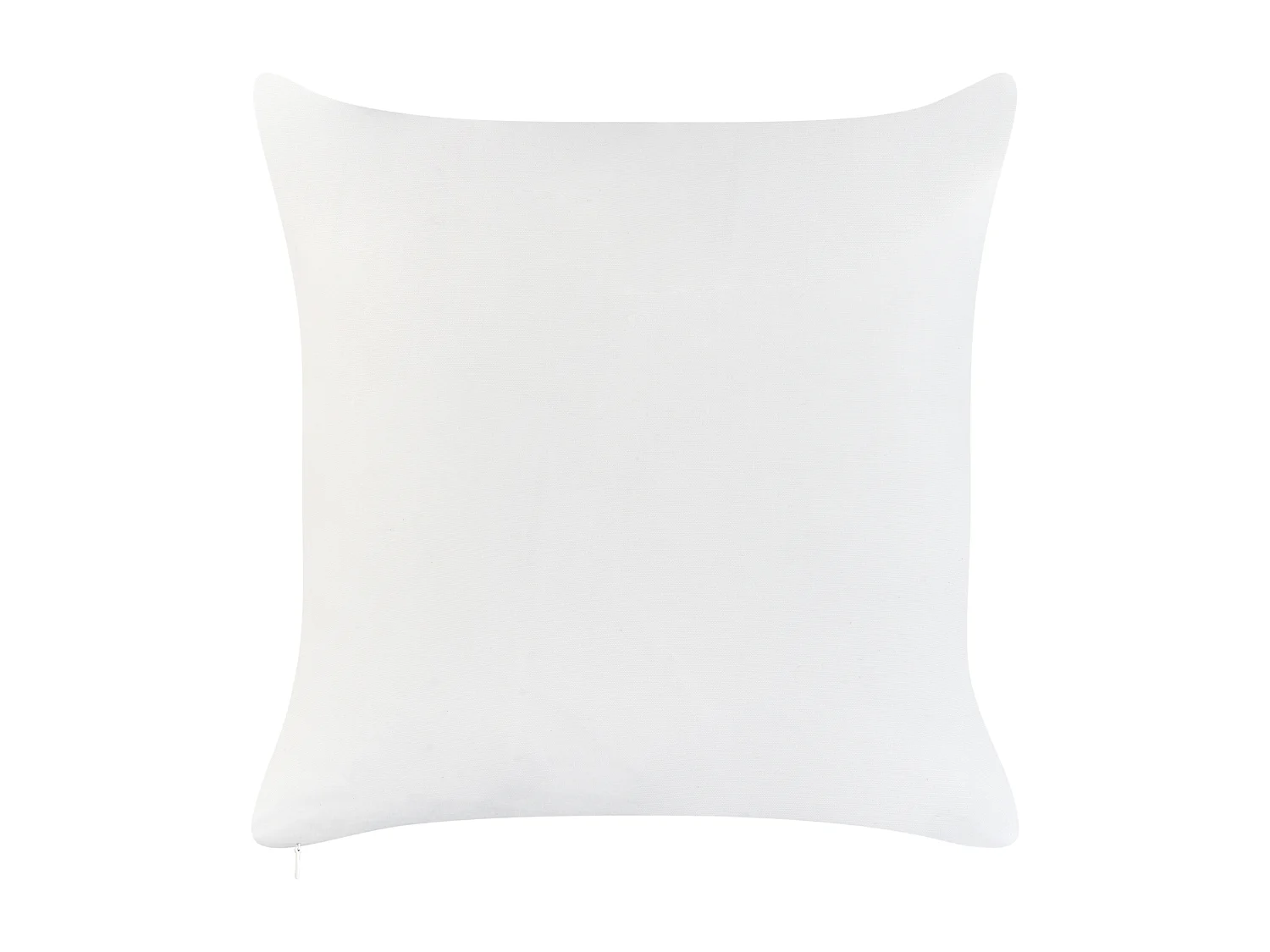 Lot de 2 coussins d'extérieur FLYLEAF Motif de plante 45 x 45 cm Vert