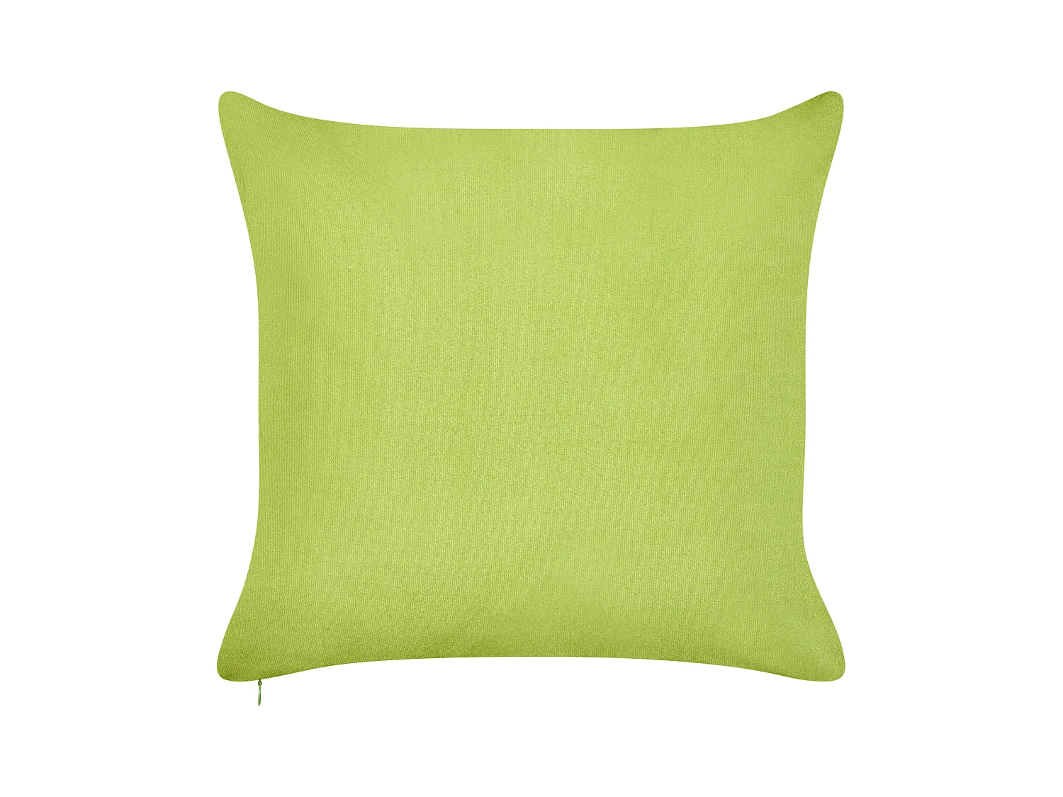 Lot de 2 coussins d'extérieur SEASIDE Motif de plante 45 x 45 cm Vert