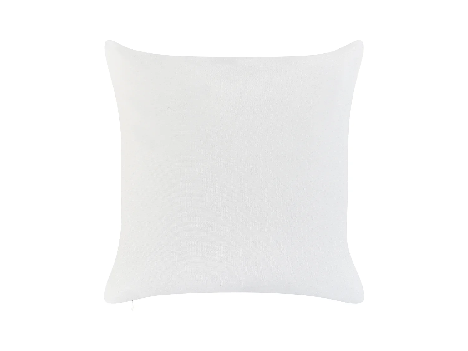 Lot de 2 coussins d'extérieur SEASIDE Motif de plante 45 x 45 cm Vert