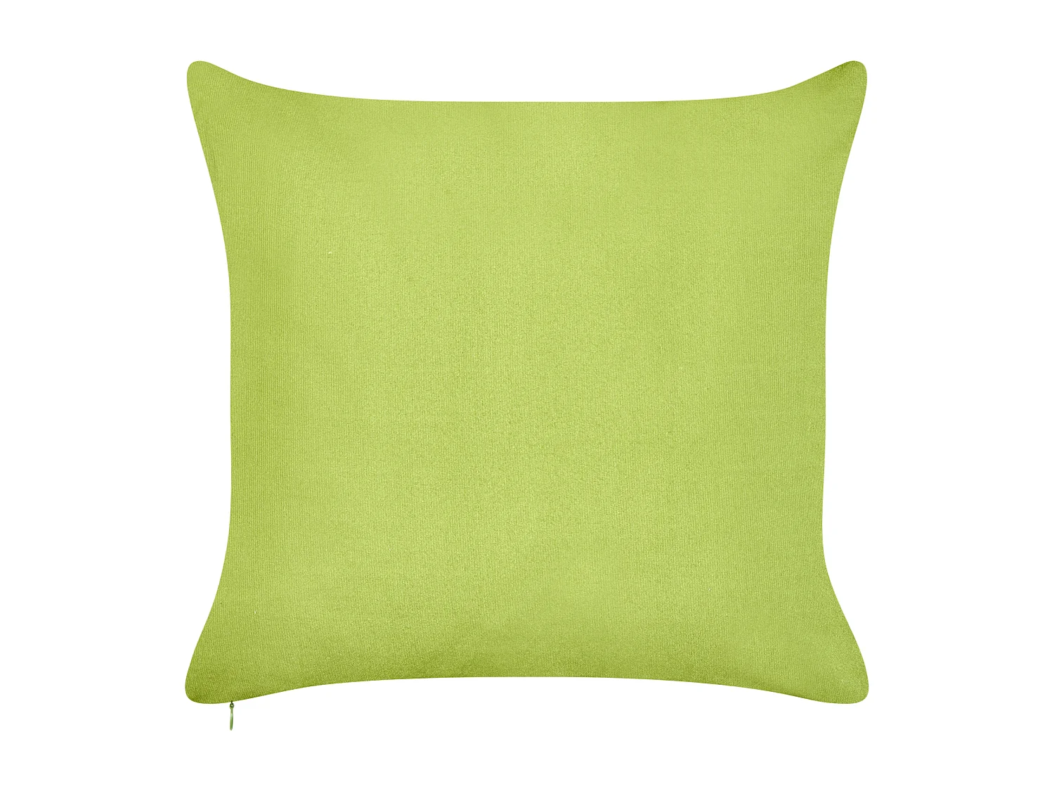 Lot de 2 coussins d'extérieur SEASIDE Motif de plante 45 x 45 cm Vert