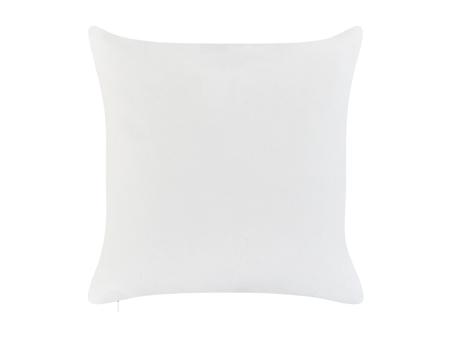 Lot de 2 coussins d'extérieur SEASIDE Motif de plante 45 x 45 cm Vert