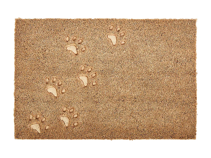 Fussmatte TARLAC 40 x 60 cm Kokosfasern Naturfarben