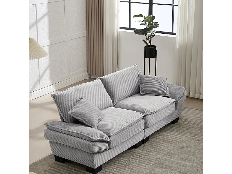 Canapé fixe 2 places en velours gris clair ultra-profond – assise moelleuse et accoudoirs rembourrés - 224x81x81cm