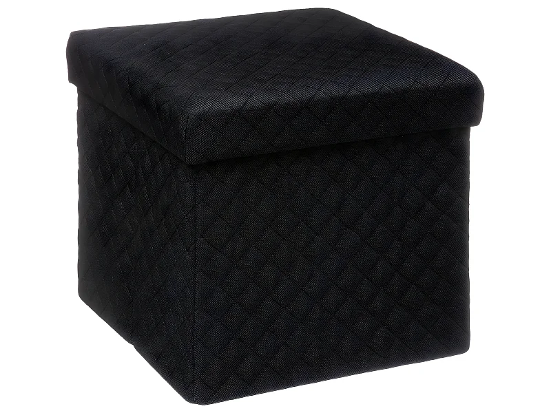 2 en 1 Pouf et Coffre de rangement Noir 31 x 31 cm