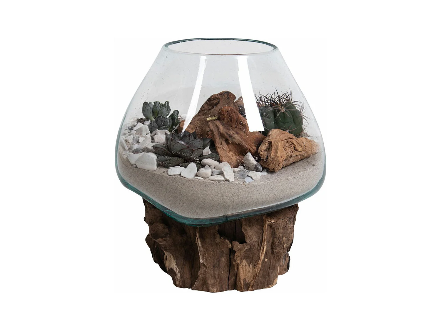 San Marino goutte d'eau h15-20 cm teck.