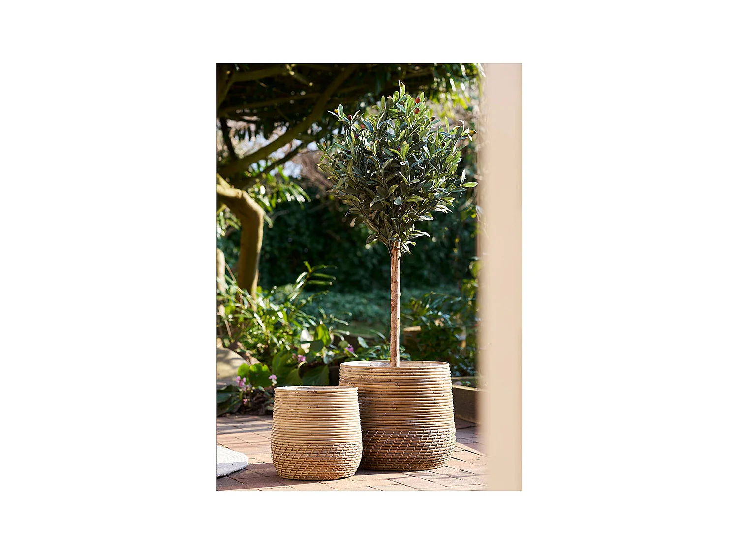 Lot de 2 paniers cache-pots MORO – Rotin kubu naturel