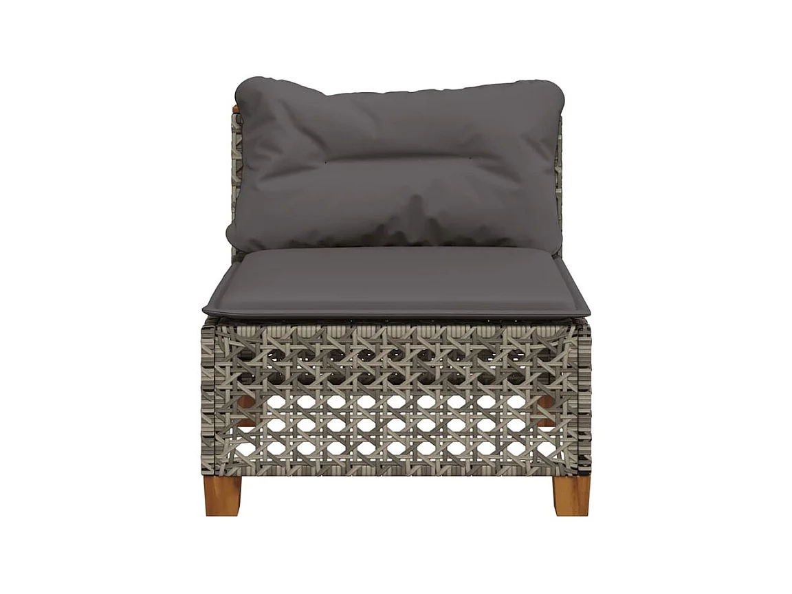 Canapé de jardin sans accoudoirs coussins gris résine tressée