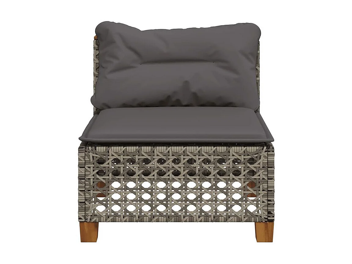 Canapé de jardin sans accoudoirs coussins gris résine tressée