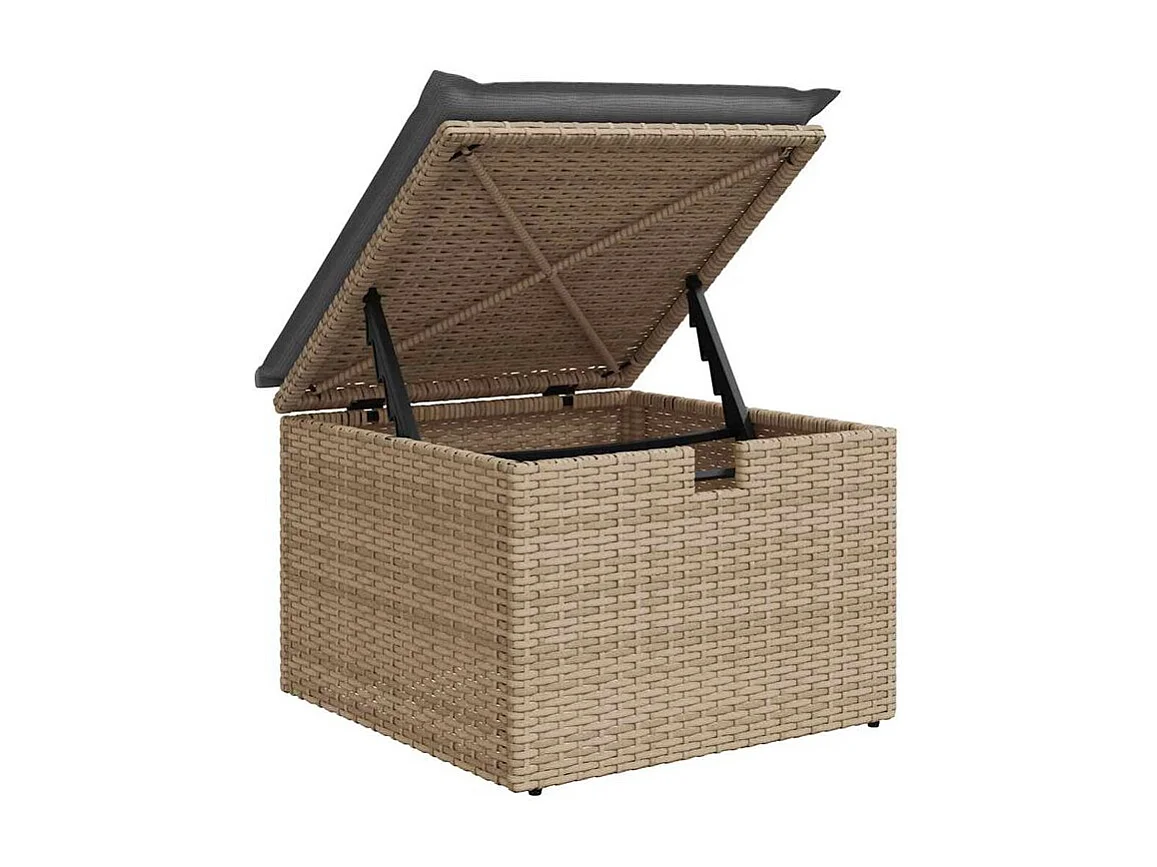 Salon de jardin avec coussins 2 pcs beige résine tressée acacia