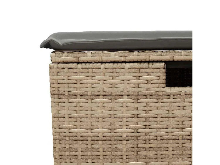 Salon de jardin avec coussins 2 pcs beige résine tressée acacia