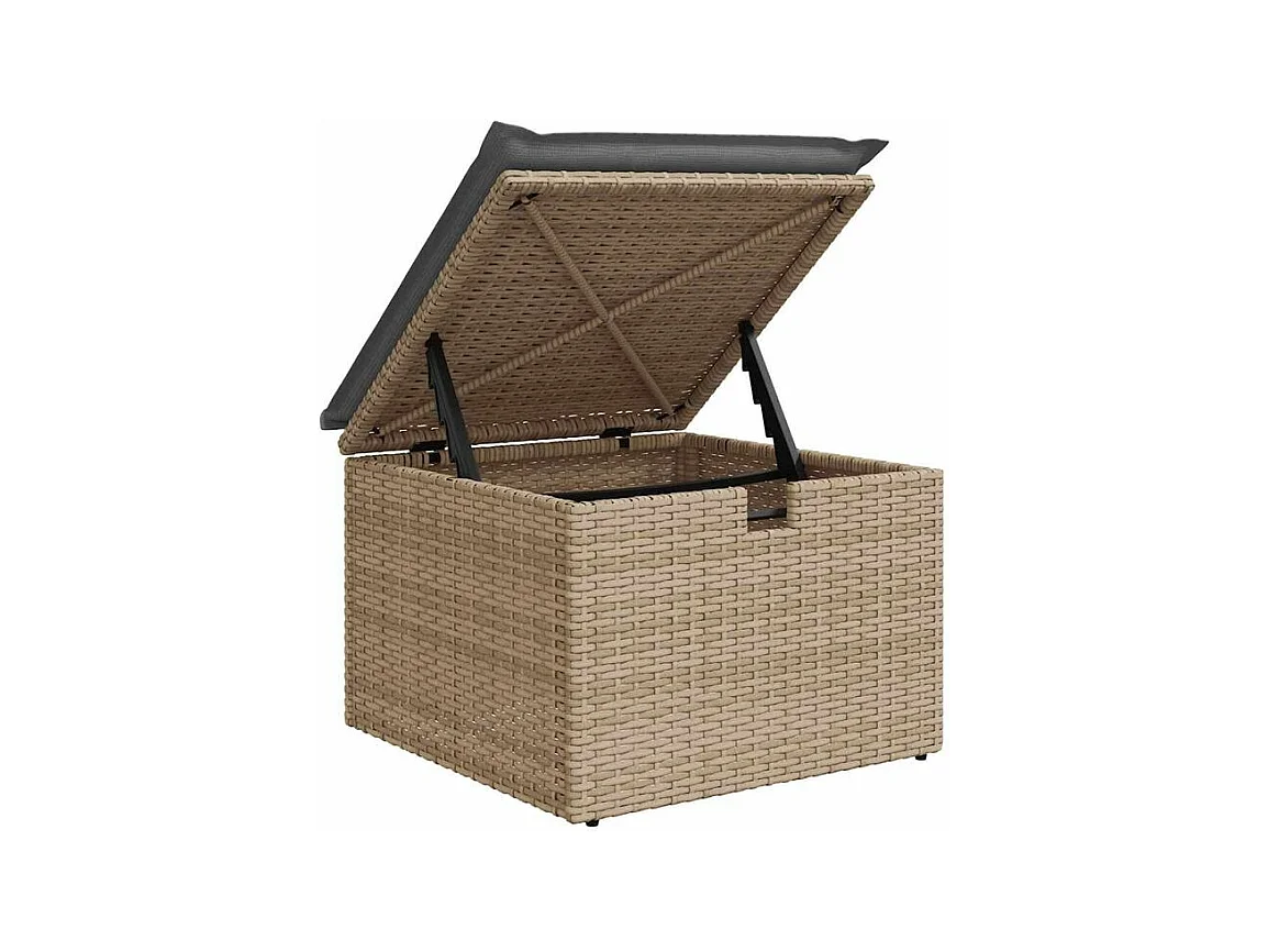 Salon de jardin avec coussins 6 pcs beige résine tressée