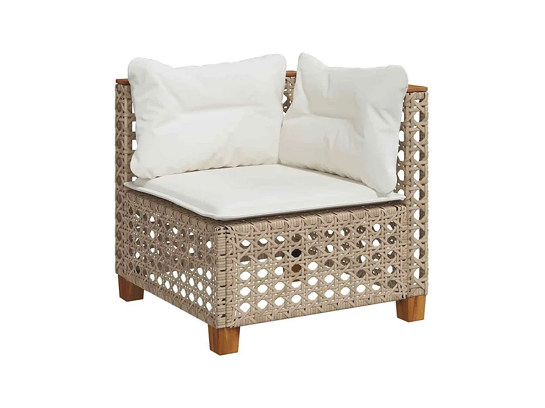 Salon de jardin 11 pcs avec coussins beige résine tressée