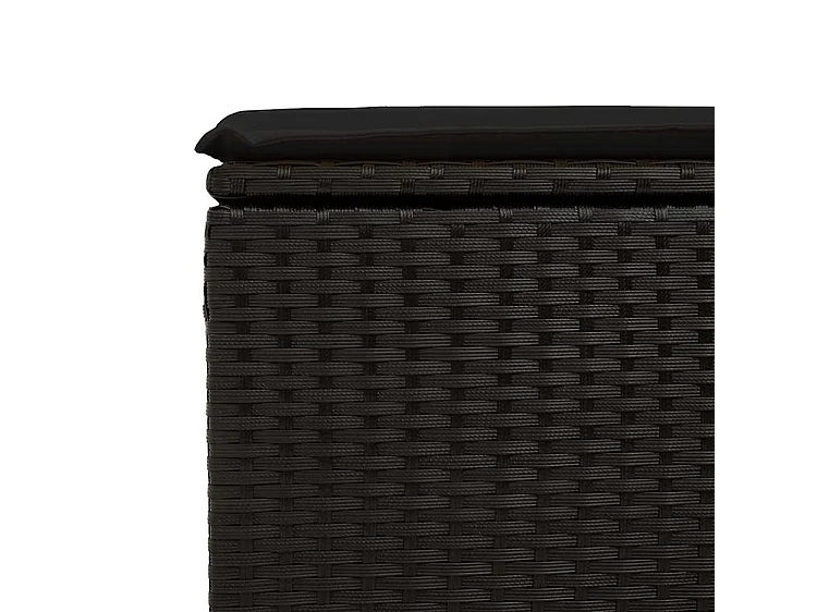 Salon de jardin avec coussins 2 pcs noir résine tressée acacia