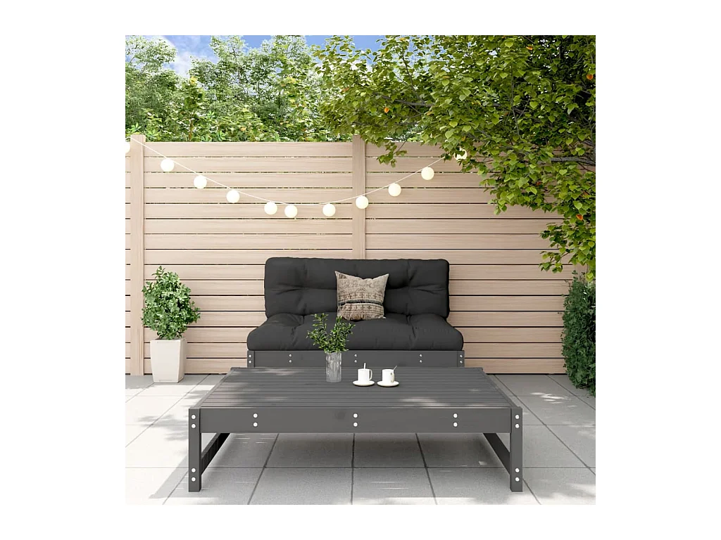 Salon de jardin 2 pcs gris bois massif de pin