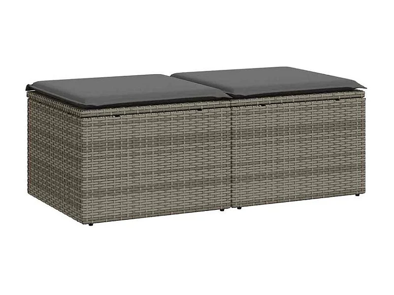 Salon de jardin 2 pcs avec coussins gris résine tressée acacia