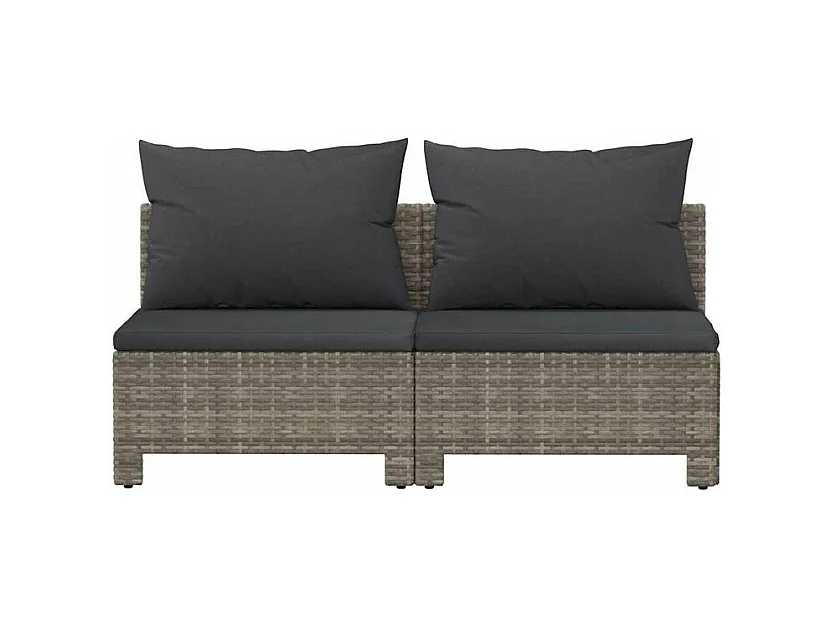 Canapé de jardin 2 places avec coussins Gris Résine tressée