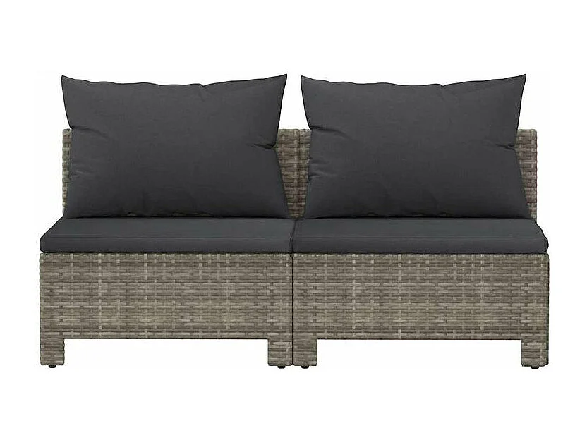 Canapé de jardin 2 places avec coussins Gris Résine tressée