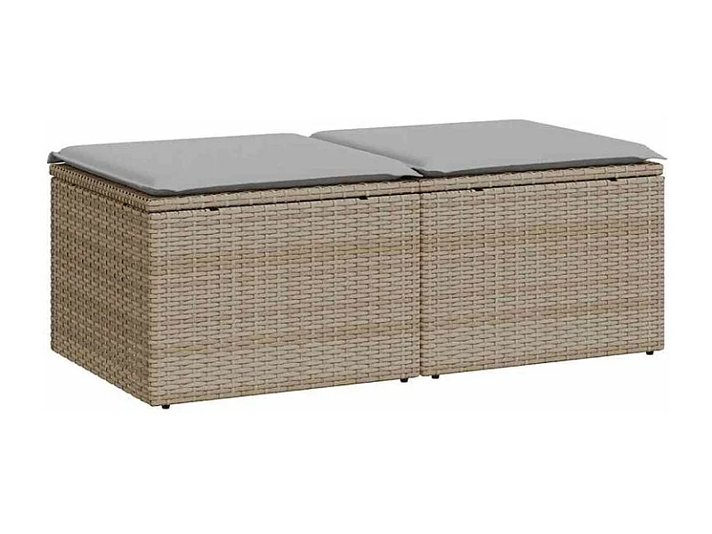 Salon de jardin avec coussins 2 pcs beige résine tressée acacia