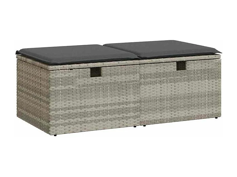 Salon de jardin 2 pcs avec coussins gris clair polyrotin acacia