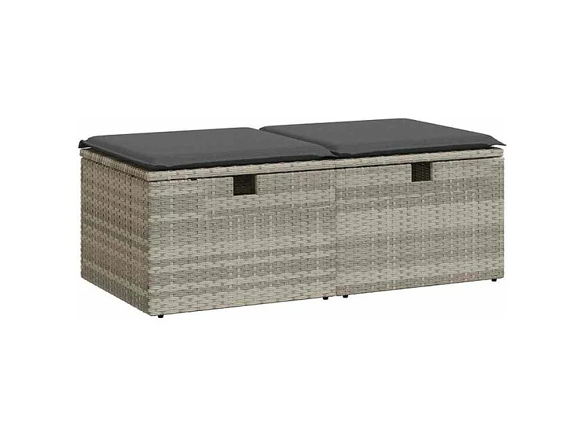 Salon de jardin 2 pcs avec coussins gris clair polyrotin acacia