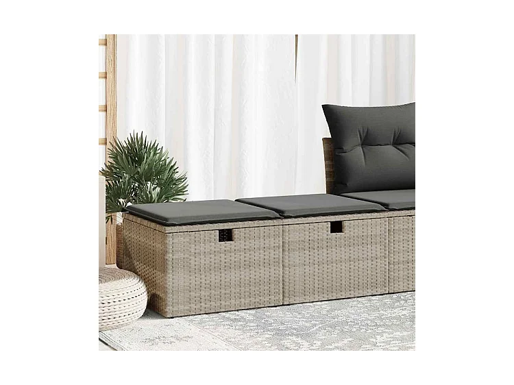 Salon de jardin 2 pcs avec coussins gris clair polyrotin acacia