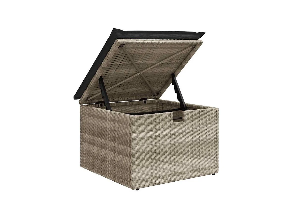 Salon de jardin 2 pcs avec coussins gris clair polyrotin acacia