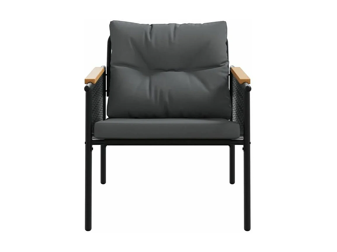 Chaises de jardin avec coussins lot de 2 noir acier