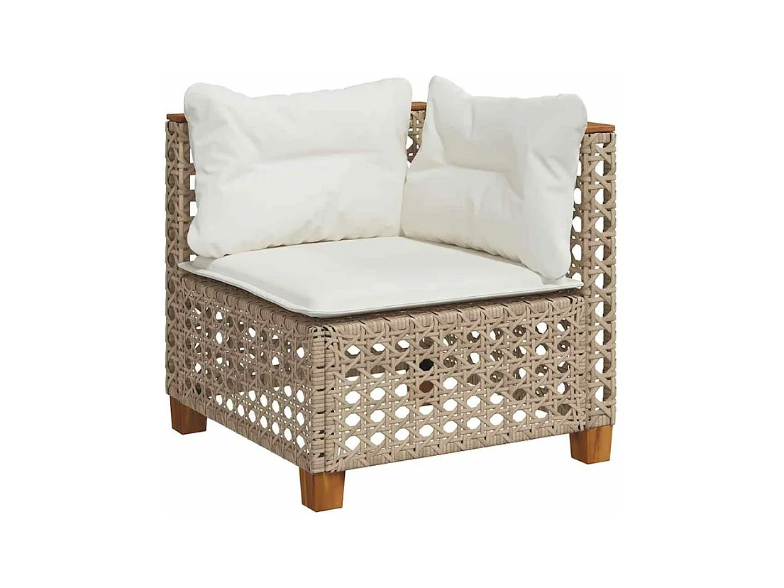 Salon de jardin 11 pcs avec coussins beige résine tressée