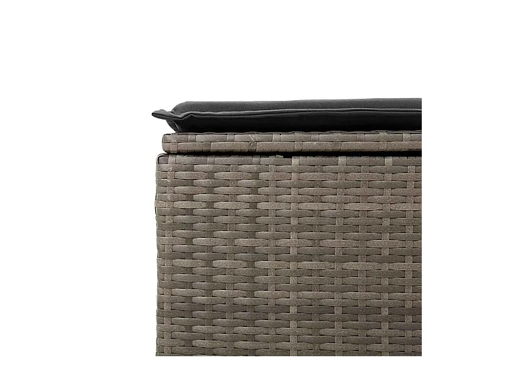 Salon de jardin 2 pcs avec coussins gris résine tressée acacia