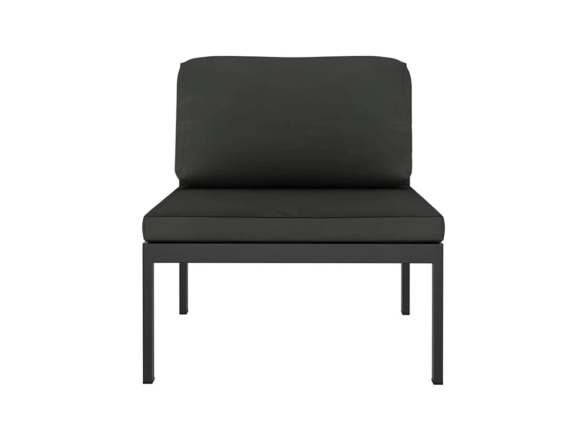 Canapé de jardin 2 places avec coussins Aluminium Anthracite