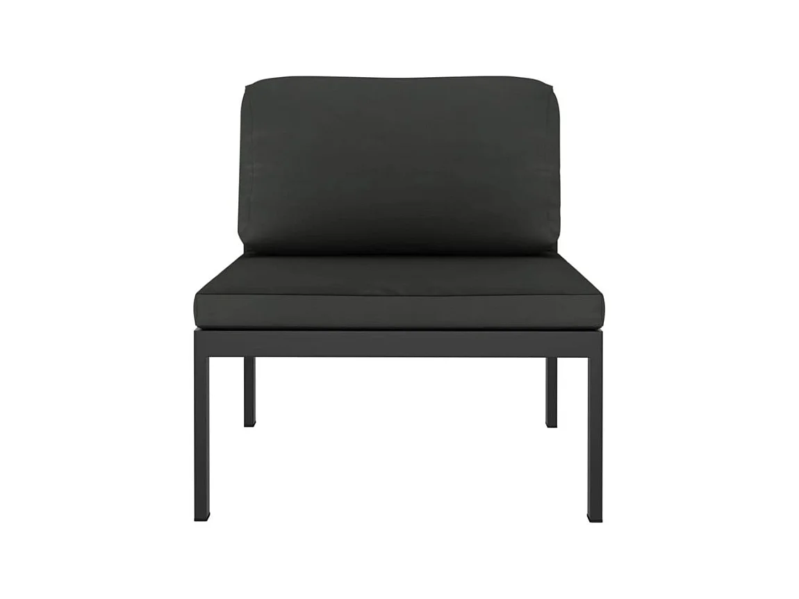 Canapé de jardin 2 places avec coussins Aluminium Anthracite