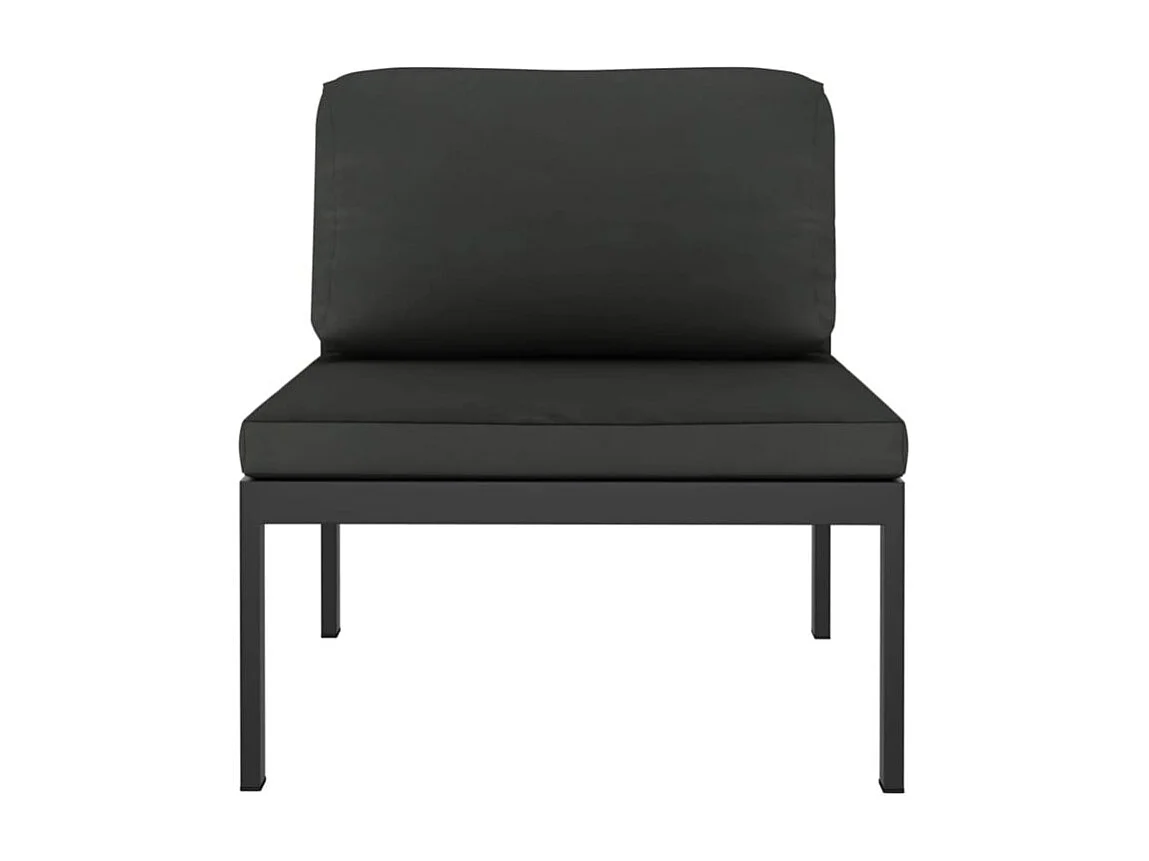 Canapé de jardin 2 places avec coussins Aluminium Anthracite