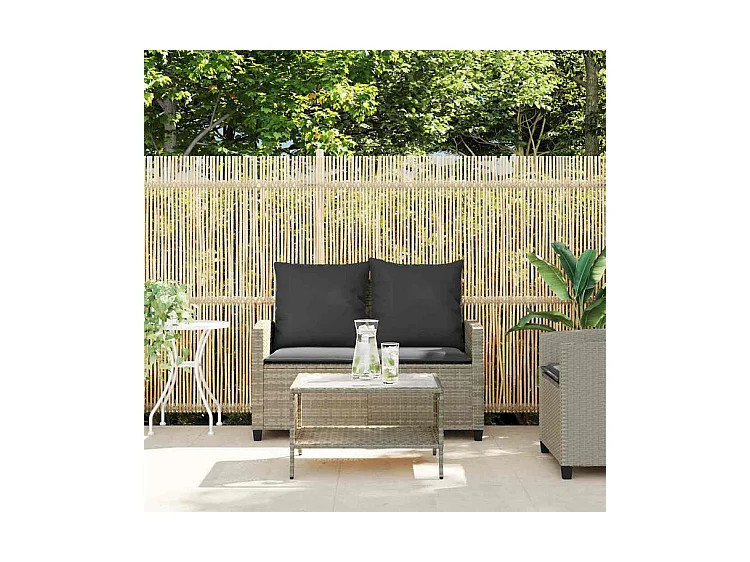 Canapé de jardin 2places coussins et table gris clair polyrotin