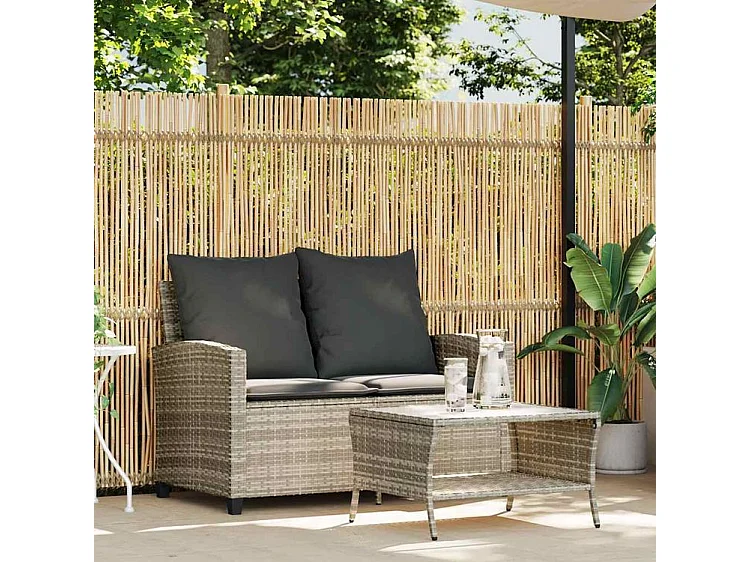 Canapé de jardin 2places coussins et table gris clair polyrotin