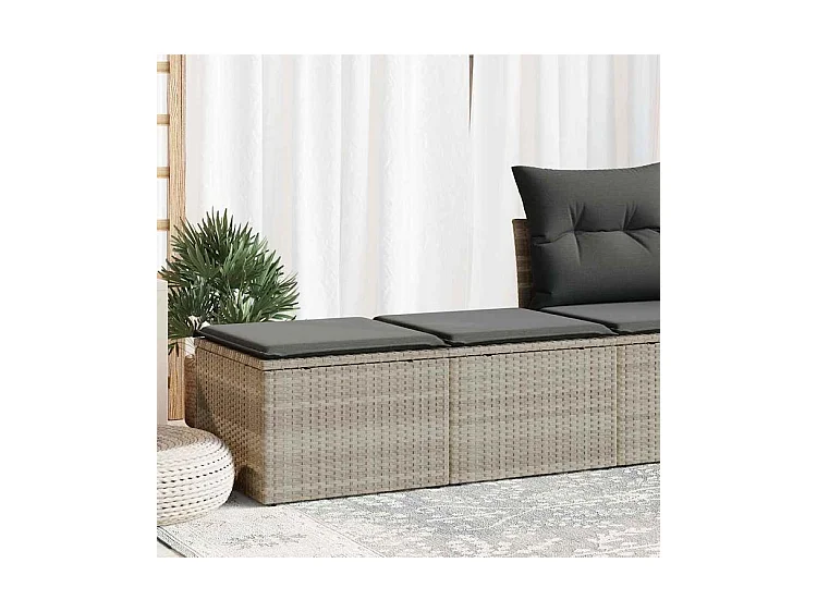 Salon de jardin 2 pcs avec coussins gris clair polyrotin acacia