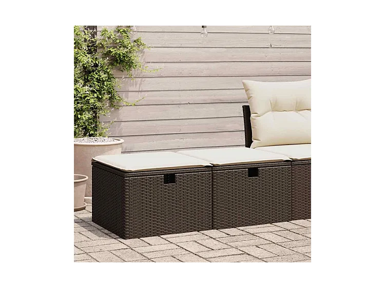 Salon de jardin avec coussins 2pcs marron résine tressée acacia