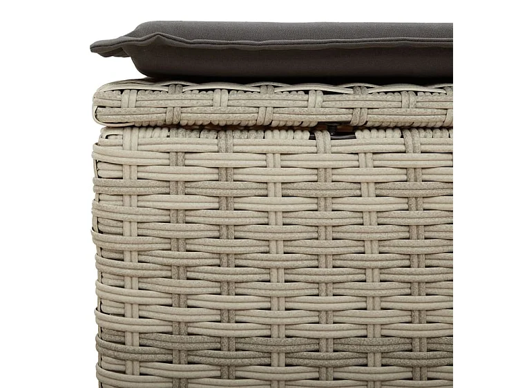 Salon de jardin 5 pcs avec coussins gris clair résine tressée