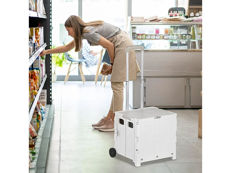 Carrinho de Compras Dobrável com 2 Rodas e Capacidade de 32L - Ideal para Casa e Escritório