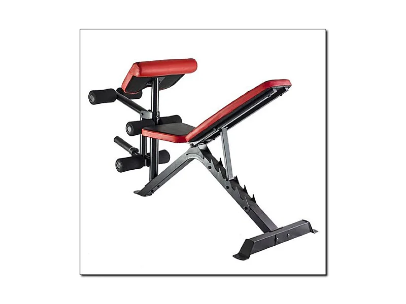 Bancada de Halteres HMS LS3859 para Treinos em Casa