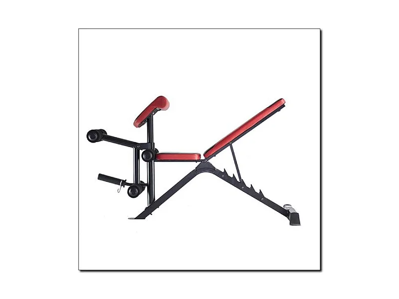 Bancada de Halteres HMS LS3859 para Treinos em Casa