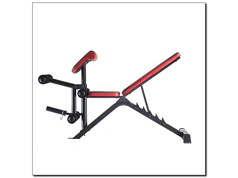 Bancada de Halteres HMS LS3859 para Treinos em Casa