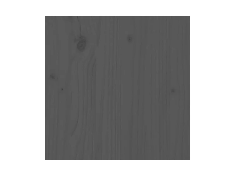 Petit buffet 2 portes 2 tiroirs en bois massif de pin Romane – Style classique et fonctionnel-Couleur Gris