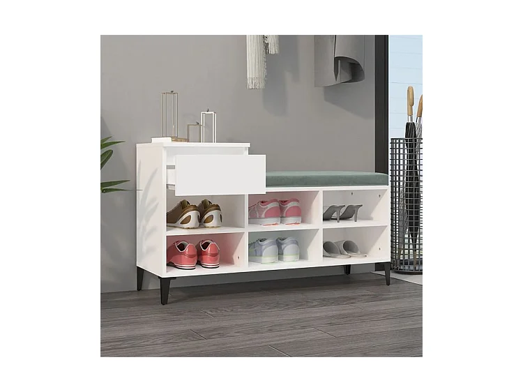 Armoire à chaussures Blanc 102x36x60 Bois d'ingénierie